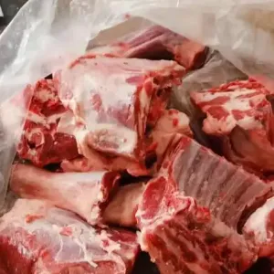 春味渐浓羊香暖 城关尚东嘉苑古浪羊羔肉专卖店热销迎新春