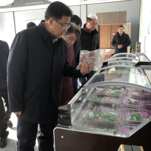 郭鹤立莅临东乡伊康源肉联厂调研指导 推动肉羊产业全链条高质量发展 ... ...