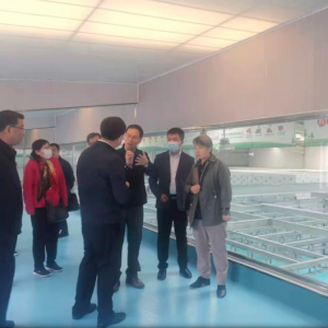 王赋莅临东乡县西部数农伊康源肉联加工有限公司视察指导